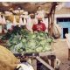 J. (Female, 12Yrs Old, Dandora Slum, Kenya), Vegetables